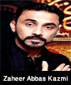 http://www.humaliwalayazadar.com/2018/02/zaheer-abbas-kazmi-nohay-2016-to-2018.html