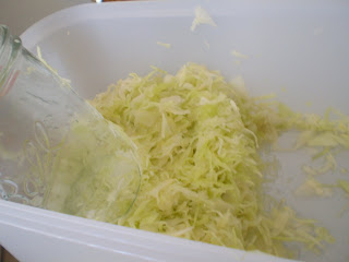 Sauerkraut health benefits