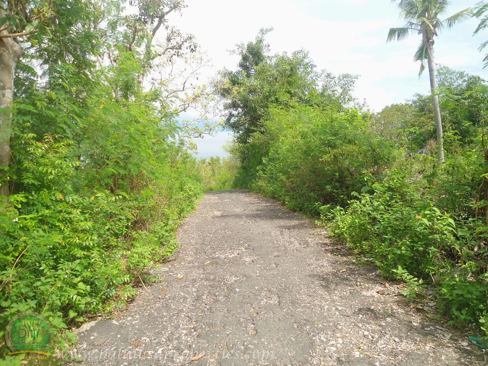 Akses Jalan Langsung ke Lokasi Tanah yang Dijual