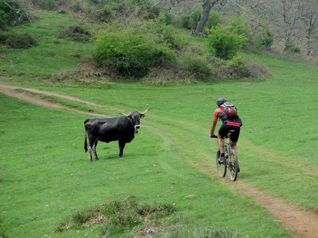 Pico Jano y la Viorna en bicicleta