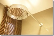 showerhead