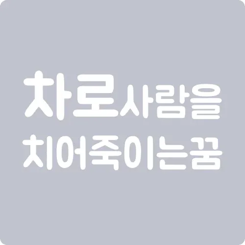 차로 사람을 치어 죽이는 꿈