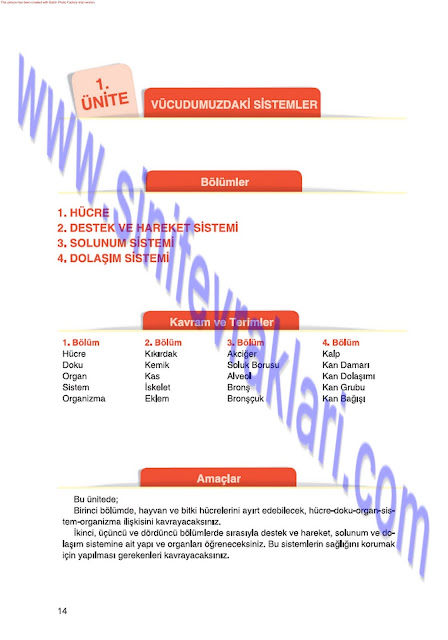 6. Sınıf Fen Bilimleri Tuna Matbaa Yayınları Ders Kitabı Cevapları Sayfa 14