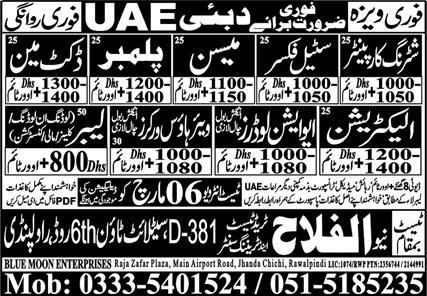 Blue Moon Enterprises Human Resource Jobs In Dubai 2024