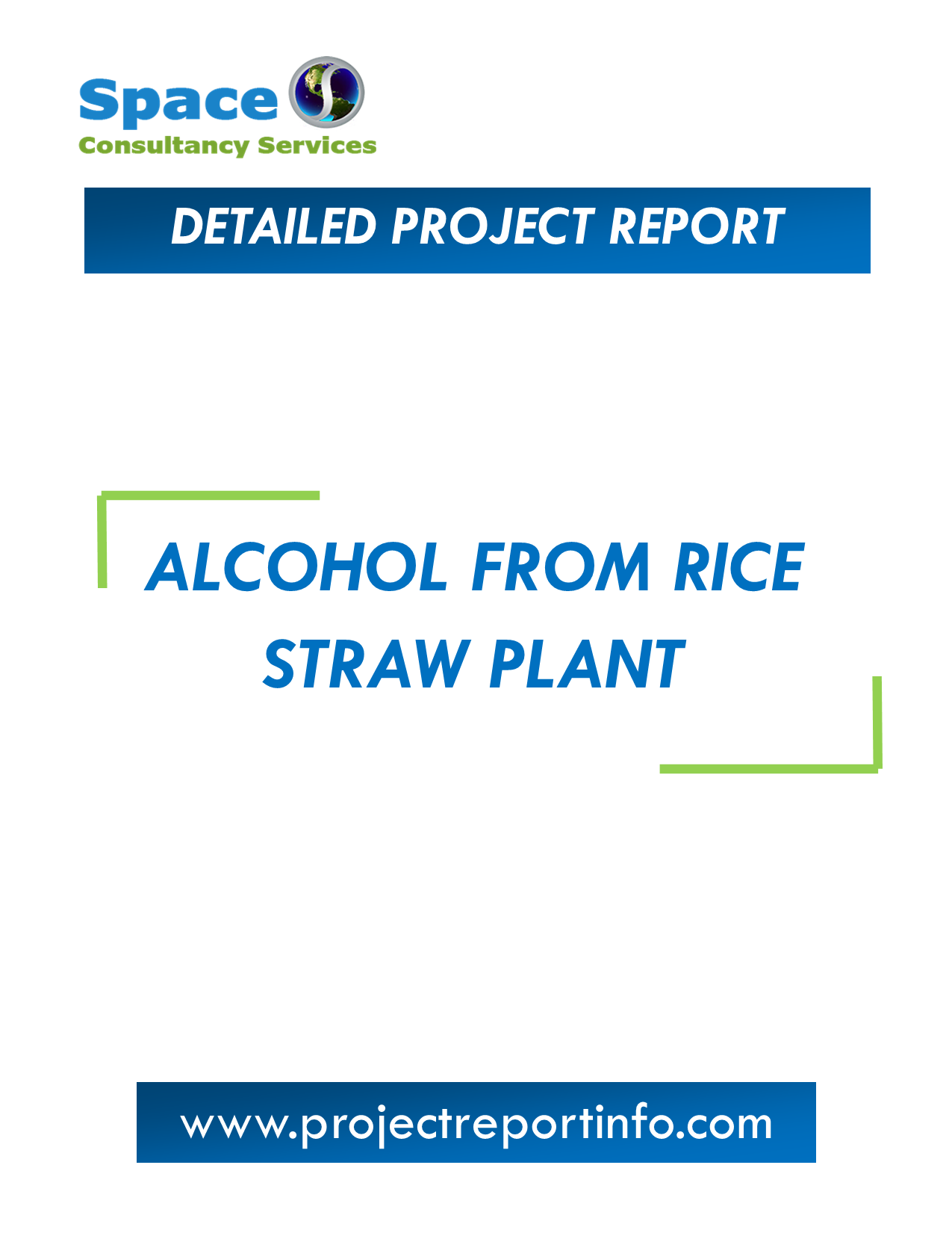 Project Report on Alcohol from Rice Straw Plant