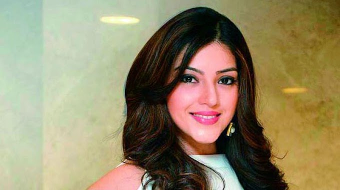 Mehreen Pirzada Wiki, Biography, Dob, Age, Height, Weight, Affairs and More