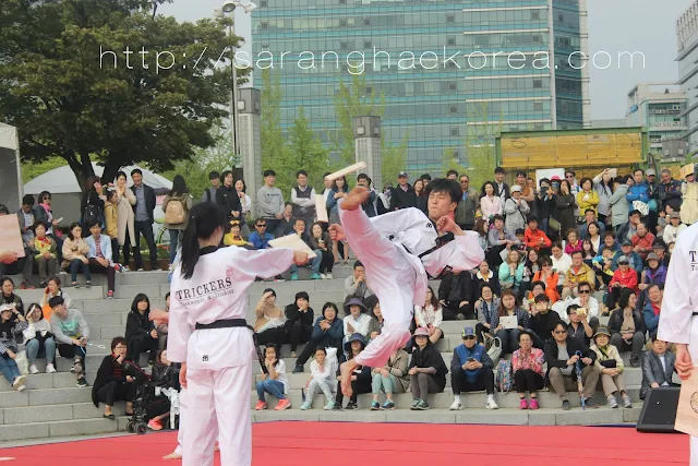 taekwondo show at the festival