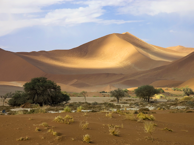 desert wallpaper. in Desert Wallpaper desert