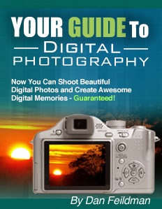 Free Guide Ends Your Digital Photography Frustrations