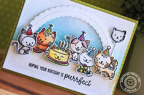 Sunny Studio Stamps: Purrfect Birthday Fancy Frames Shaker Birthday Card by Eloise Blue