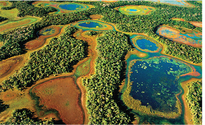 Foto veiculada no site Viajeaqui do nosso Pantanal