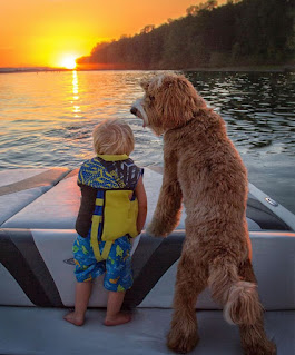 Una conmovedora amistad entre un niño y su cachorro que te derretirá el corazón