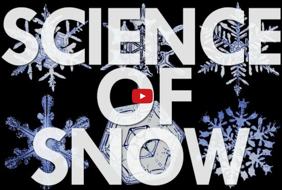 The Science of Snowflakes