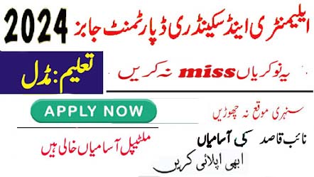 Naib Qasid Jobs Available At Education Department Mirpur 2024