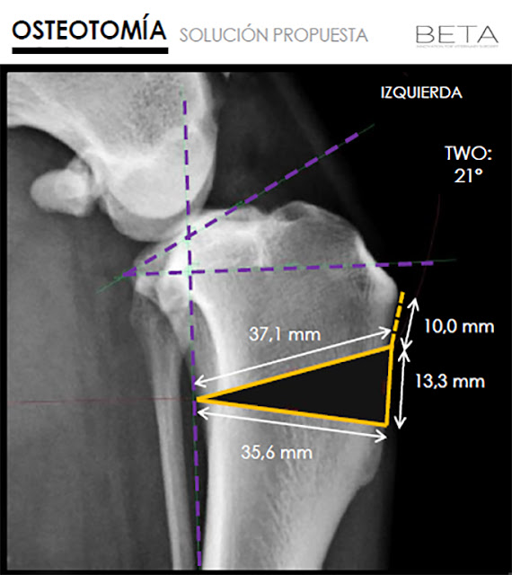 Osteotomía en cuña perros