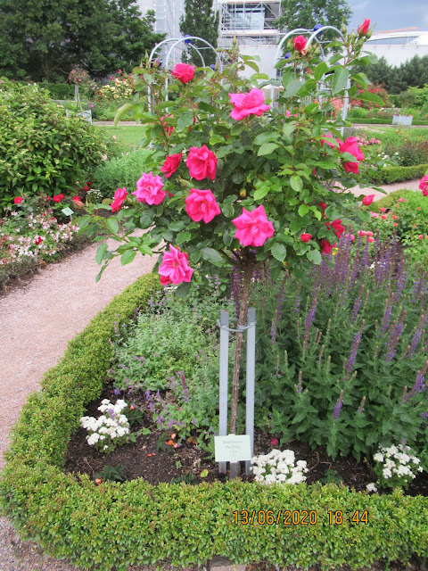 Planten un Blomen Park in Hamburg