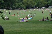 One could easily devote a weekly blog just to Central Park and the goings on . (central park lawn)