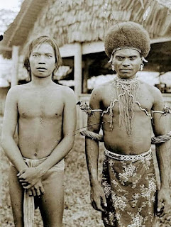 Dayak, Papua dan Freeport