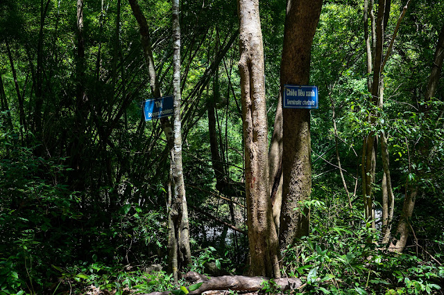Khám phá vườn quốc gia Phước Bình