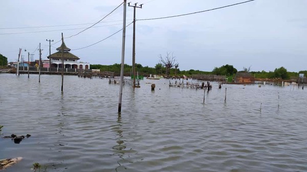 Banjir Rob Rendam 4 Desa di Muaragembong Kabupaten Bekasi