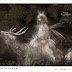 Realm of Dreams | Poetry of Light