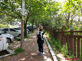 Dalmaji-gil road Tempat menarik di Busan Korea Interesting Place