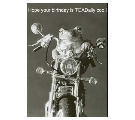 funny birthday greetings for friend. Cute Funny Greeting Cards