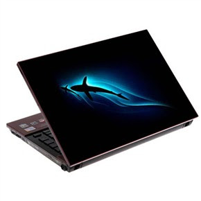 Review Dolphin Laptop Skins