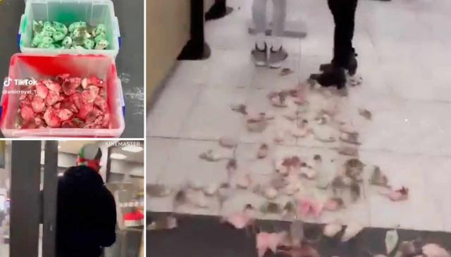 Rodent Rebellion: Unorthodox Protests Unleash Chaos in McDonald's Over Palestine Support