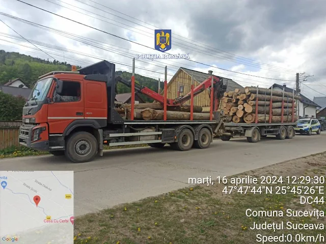 Camion confiscat de polițiști pentru transport ilegal de bușteni, la Voievodeasa