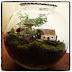 Cottage Moss Terrarium