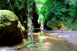 Rio Viejo, Puriscal