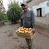   Tomates formoseños: de la chacra de  pequeños productores a la mesa familiar