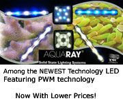 Aquaray Lighting