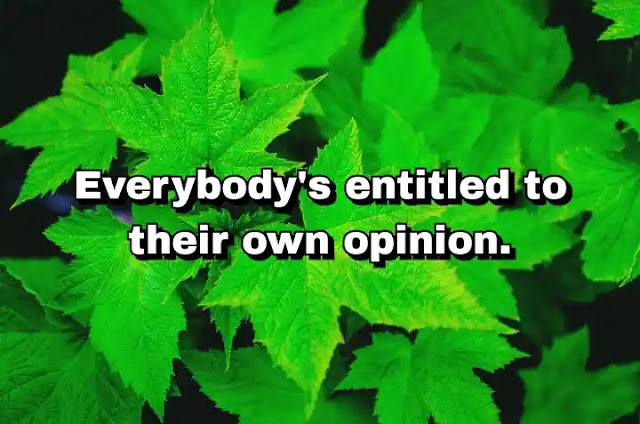 "Everybody's entitled to their own opinion." ~ Cam Newton
