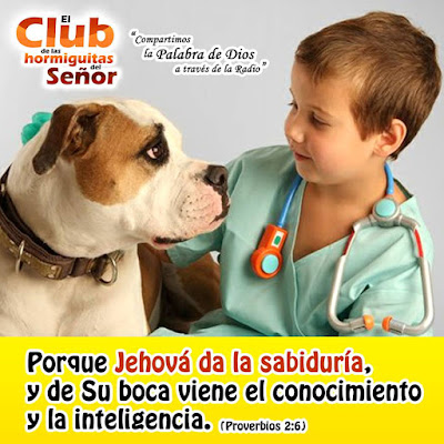 Proverbios 2:6. “Porque Jehová da la sabiduría, Y de su boca viene el conocimiento y la inteligencia.” El club de las Hormiguitas del Señor.