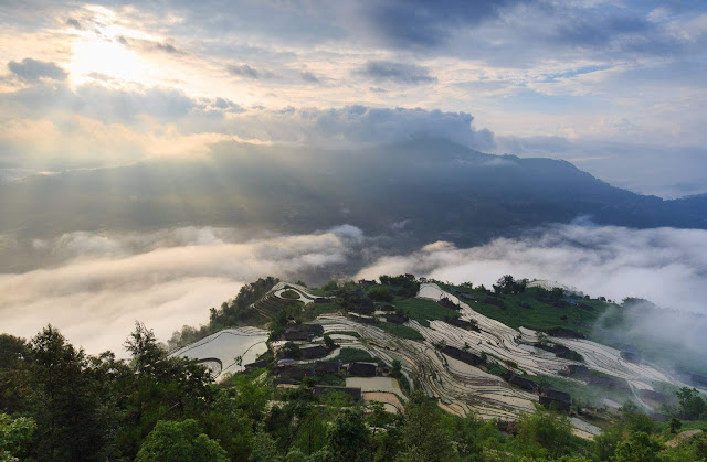 Nếu vào mùa lúa chín, Hoàng Su Phì lộng lẫy sắc vàng, tới mùa nước đổ (tháng 5 đến tháng 6) lại là sự xen lẫn của màu xanh non của lúa, lẫn ánh nước lóng lánh của hàng trăm bậc thang trải dài miên man, từ đỉnh núi xuống chân núi. Từng thửa ruộng ánh lên vẻ lóng lánh của mặt nước là cảnh đẹp khiến nhiều người không khỏi trầm trồ, thích thú.