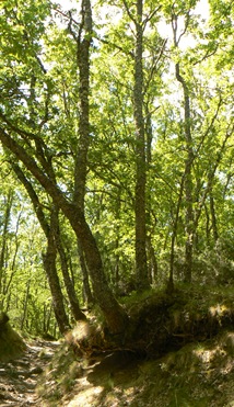 P1200476