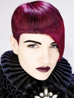 purple hair color trend for winter 2011