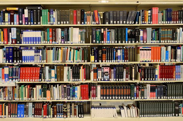 Public Libraries in Summer – the Community Bridge to Families