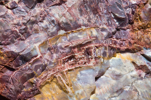 Petrified Wood, Petrified Forest National Park