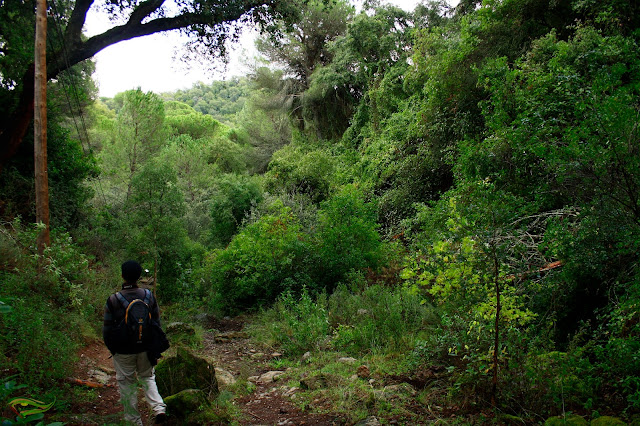 Sendero de la Cuesta de la Traición-El Villar (SL-A-91)