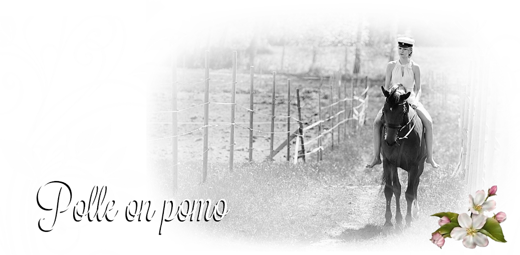 Polle on pomo