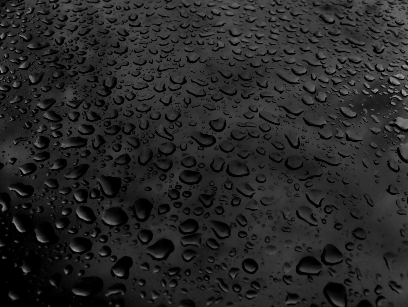 Raining Water Droplets Wallpapers