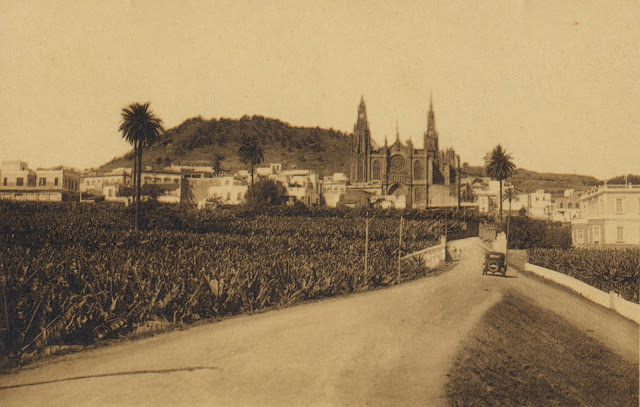 Imagen nº 3331 propiedad del archivo de fotografía histórica de LA FEDAC/CABILDO DE GRAN CANARIA. Fotógrafo sin identificar.