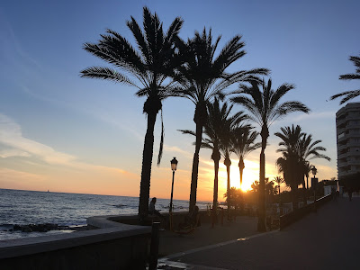 palmy słońce ciepło blog polka w Hiszpanii