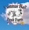 Cammas Hall Fruit Farm logo