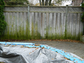Toronto Gardening Services Bedford Park Backyard Fall Cleanup after by Paul Jung