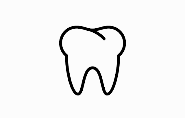 Definition, Structure and Functions of Tooth