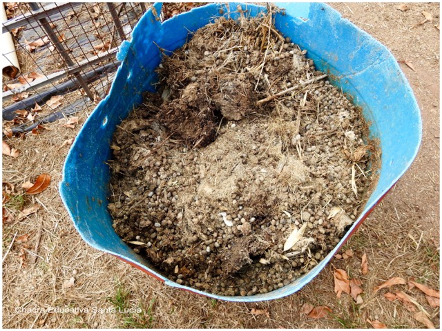 Residuos orgánicos para la pila de compost - Chacra Educativa Santa Lucía